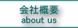 ЊTv