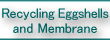 Recycling Eggshells and Membrane